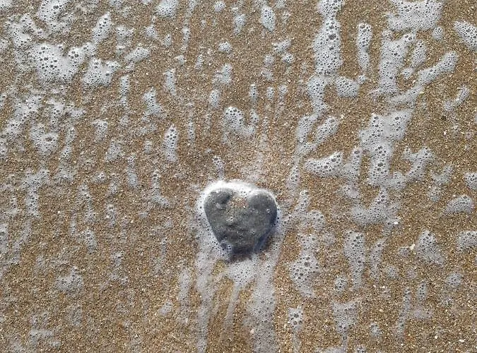 Le Vieux Pre De La Motte Lägenhet *