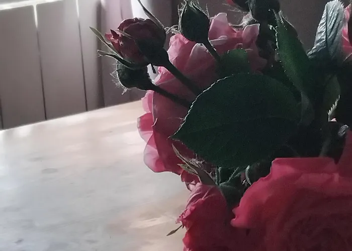 Le Vieux Pre De La Motte Villers-sur-Mer