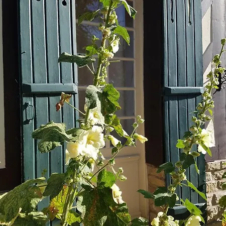 Le Vieux Pré De La Motte Appartamento *
