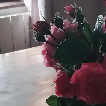 Le Vieux Pre De La Motte ヴィレ・シュル・メール