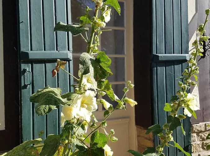 Le Vieux Pre De La Motte Apartamento *