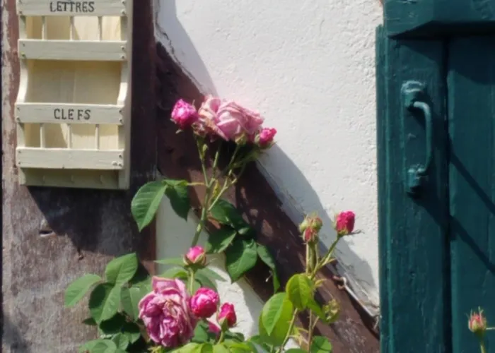 Le Vieux Pre De La Motte *