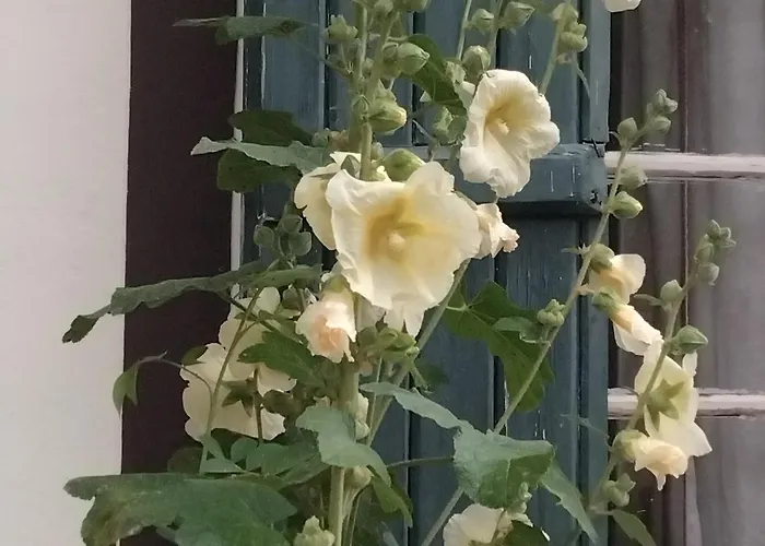 Le Vieux Pre De La Motte Villers-sur-Mer