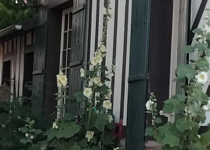 Le Vieux Pré De La Motte *